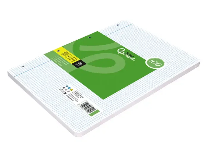 Liderpapel Recambio A4 100 Hojas Papel Reciclado 80gr Cuadro 4mm Con Margen 4 Taladros