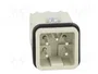 LAPP Conector HDC EPIC H-A Macho de 5 Pines