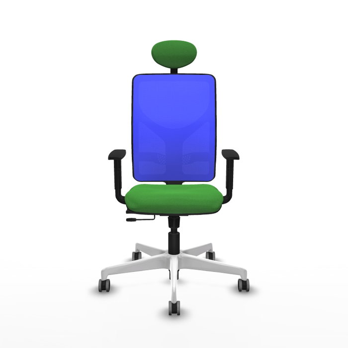 PIQUERAS Y CRESPO Silla de oficina Motilla con mecanismo Sincro/Traslack Verde y Azul PIQUERAS Y CRESPO Silla de oficina Motilla con mecanismo Sincro/Traslack Verde y Azul