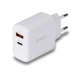 Lindy Cargador GaN 65W con USB Tipo A y C, Blanco