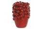 DKD Home Decor Cherry25 Jarron Tropical de Cemento Rojo con Cerezas, 18 x 25 x 18 cm, 4 Unidades