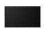 HP Pantalla de repuesto UWVA 250 nits M36416-001