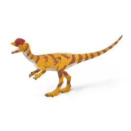 Collecta Dilophosaurus Escala 1:40 - Figura Dinosaurio Jurásico Carnívoro - Réplica Científica 88923
