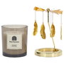 Home Deco Factory Vela Perfumada Carrusel, Colección Lounge, Aroma Wood and Ginger Spa, Color Negro y Dorado, 25h Duración, Ø7x8 cm