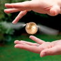 FAMOSA Snitch Dorada Voladora Harry Potter