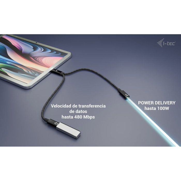 i-tec C31DUALSPLITTER Adaptador USB-C Macho a Doble USB-C Hembra (Datos/Audio + Carga) 100W i-tec C31DUALSPLITTER Adaptador USB-C Macho a Doble USB-C Hembra (Datos/Audio + Carga) 100W