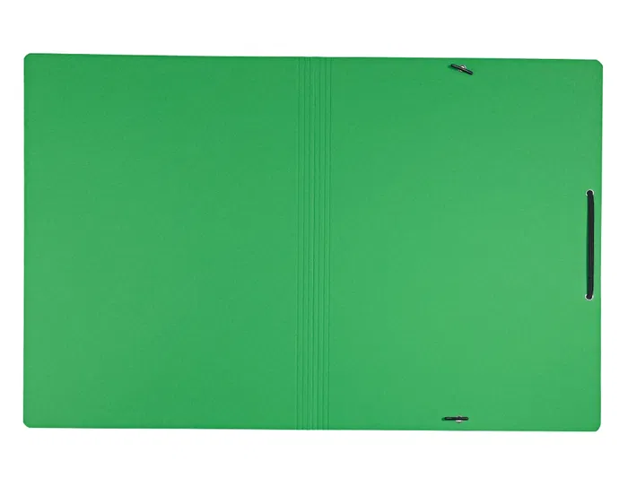 Leitz Carpeta Recycle con Gomas DIN A4 Cartón Reciclable 100% Verde
