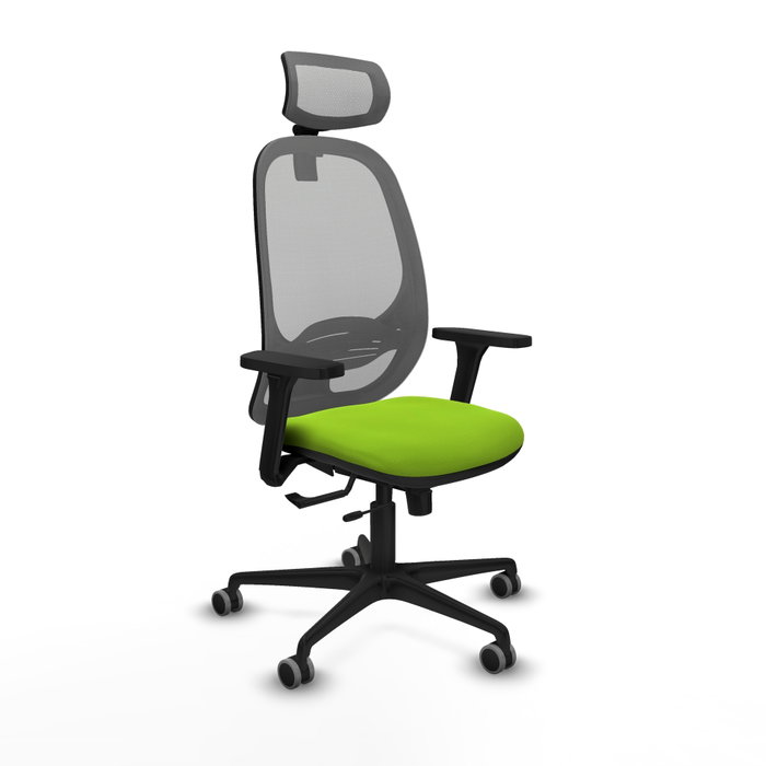 PIQUERAS Y CRESPO Silla de oficina Cilanco con Mecanismo Sincro/Traslack, Pistacho y Gris PIQUERAS Y CRESPO Silla de oficina Cilanco con Mecanismo Sincro/Traslack, Pistacho y Gris