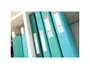 Esselte Carpeta Escaparate Colour Breeze Colores Surtidos con 40 Fundas DIN A4