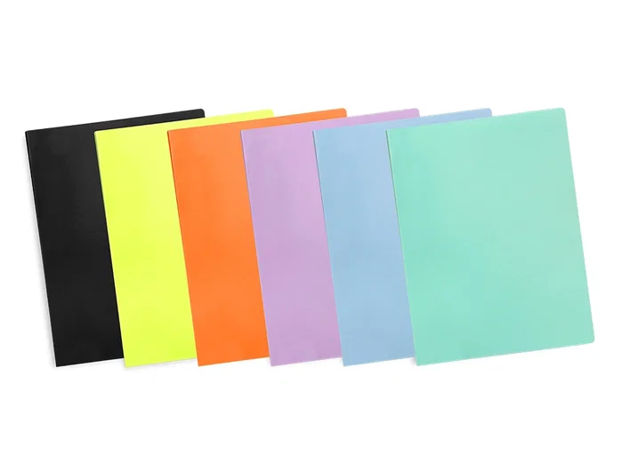 Liderpapel Carpeta Escaparate 60 Fundas Polipropileno DIN A4 Celeste Opaco