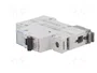 LEGRAND Interruptor magnetotérmico S300 TX 25A 1P Caract C