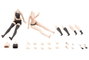 Kotobukiya Sousai Shojo Teien Accesorios para las Figuras 1/10 Dress Up Body Body Color C Size S