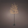 Lumineo Árbol Iluminado 1,5m 480 Leds Luz Cálida Exterior