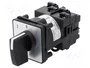 Schneider Electric Interruptor de Leva 12A 2-0-1 Negro