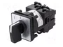 Schneider Electric Interruptor de Leva 12A 2-0-1 Negro