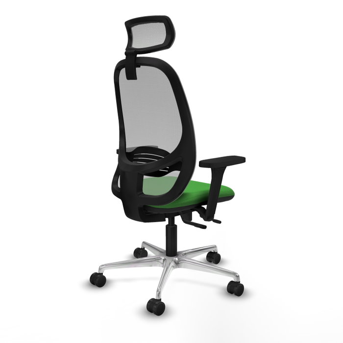 PIQUERAS Y CRESPO Silla de oficina Cilanco con mecanismo Sincro/Traslack, Verde y Gris PIQUERAS Y CRESPO Silla de oficina Cilanco con mecanismo Sincro/Traslack, Verde y Gris
