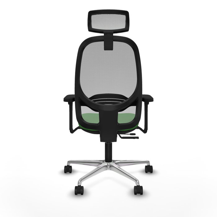 PIQUERAS Y CRESPO Silla de oficina Cilanco con mecanismo Sincro/Traslack, Verde y Gris PIQUERAS Y CRESPO Silla de oficina Cilanco con mecanismo Sincro/Traslack, Verde y Gris