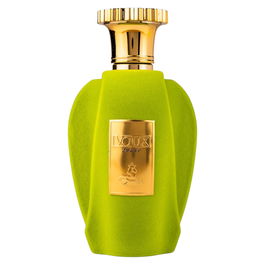 Voux Zingy, Agua de perfume, Unisex, 100 ml