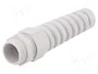 LAPP SKINTOP® BS-M M25 Sello Aislante con Manguito