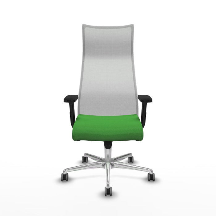 PIQUERAS Y CRESPO Sillón Albacete con mecanismo Sincro, Tela Verde y Malla Blanca PIQUERAS Y CRESPO Sillón Albacete con mecanismo Sincro, Tela Verde y Malla Blanca
