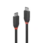Lindy Cable USB C a USB C 3.2 Gen 1 de 0,5 m Negro