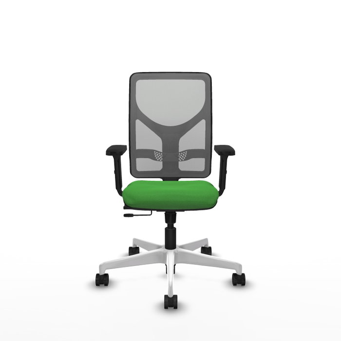 PIQUERAS Y CRESPO Silla de oficina Motilla con mecanismo Sincro/Traslack, Verde y Gris PIQUERAS Y CRESPO Silla de oficina Motilla con mecanismo Sincro/Traslack, Verde y Gris