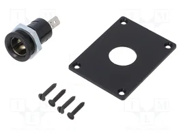 PRO CAR Tomacorriente de encendedor negro 12-24VDC 16A