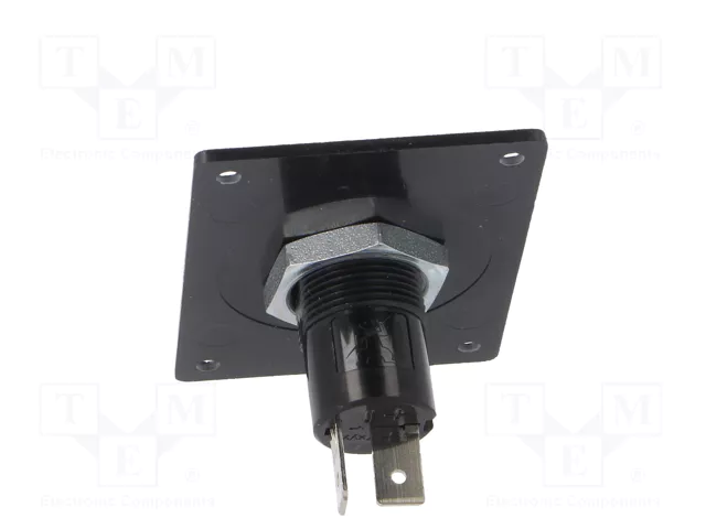 PRO CAR Tomacorriente de encendedor negro 12-24VDC 16A