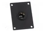 PRO CAR Tomacorriente de encendedor negro 12-24VDC 16A