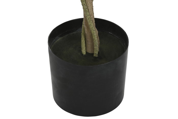 DKD Home Decor Árbol Blanco Verde 50 x 160 x 50 cm (2 Unidades) Cercis chinensis