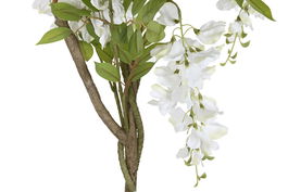 DKD Home Decor Árbol Blanco Verde 50 x 160 x 50 cm (2 Unidades) Cercis chinensis