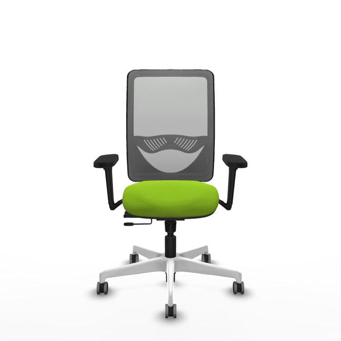 PIQUERAS Y CRESPO Silla de oficina Zulema Pistacho y Gris PIQUERAS Y CRESPO Silla de oficina Zulema Pistacho y Gris