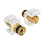 DeLOCK 86303 Módulo Keystone con terminal Post y Thread Jack