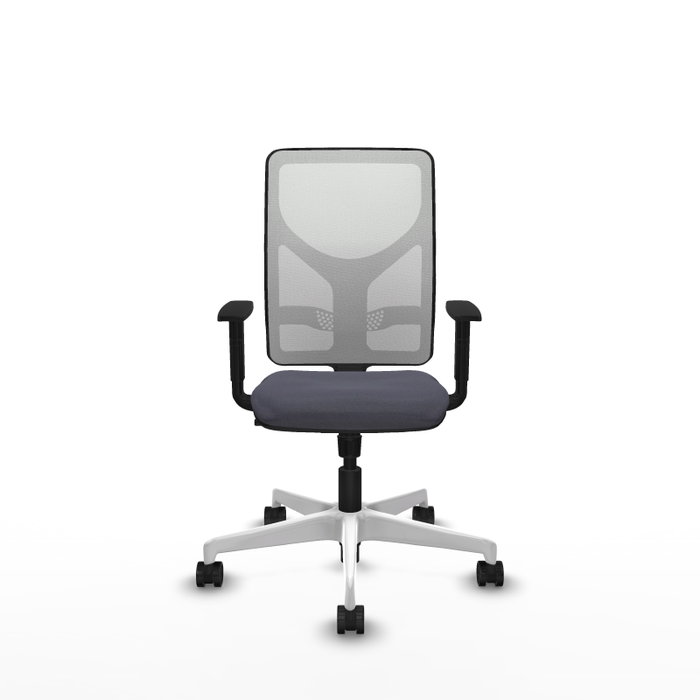 PIQUERAS Y CRESPO Silla de oficina Motilla con mecanismo Sincro, Gris oscuro y Blanco PIQUERAS Y CRESPO Silla de oficina Motilla con mecanismo Sincro, Gris oscuro y Blanco