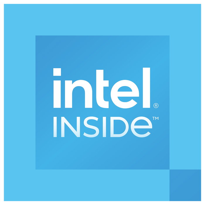 Intel 300 Procesador LGA 1700 Tray Intel 300 Procesador LGA 1700 Tray