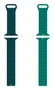 Celly Correa para Apple Watch 42/44/45 mm con Cierre Magnético Verde