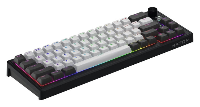 Hator Skyfall 65 PRO Wireless Teclado Mecánico Inalámbrico RGB 65% Layout Polaco Gris-Negro Hator Skyfall 65 PRO Wireless Teclado Mecánico Inalámbrico RGB 65% Layout Polaco Gris-Negro