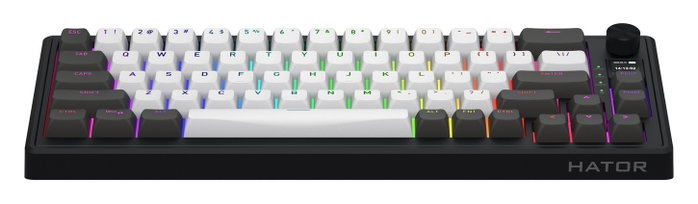 Hator Skyfall 65 PRO Wireless Teclado Mecánico Inalámbrico RGB 65% Layout Polaco Gris-Negro Hator Skyfall 65 PRO Wireless Teclado Mecánico Inalámbrico RGB 65% Layout Polaco Gris-Negro