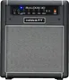 HIWATT Amplificador Bajo Combo Bulldog 30W Bluetooth 1x10"