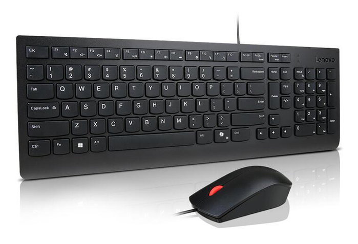 Lenovo Essential Wired Combo de teclado y ratón Negro 4X31R64414