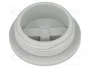 LAPP Tapón SKINDICHT® M25 1,5 IP54 Gris Claro