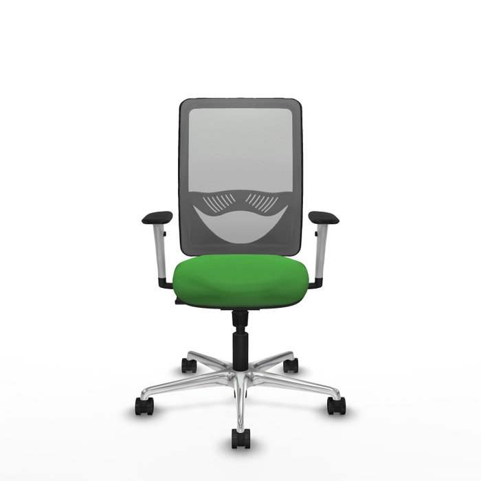 PIQUERAS Y CRESPO Silla de oficina Zulema con mecanismo Sincro, Verde y Gris PIQUERAS Y CRESPO Silla de oficina Zulema con mecanismo Sincro, Verde y Gris