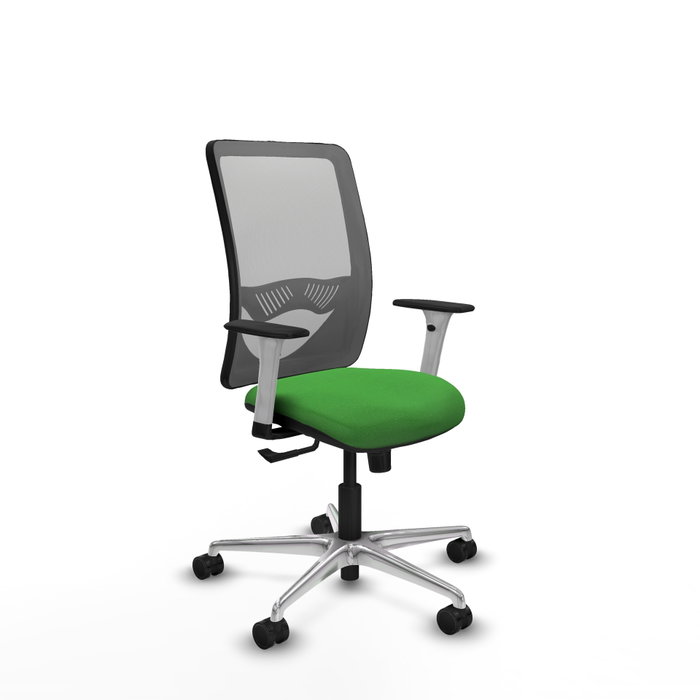 PIQUERAS Y CRESPO Silla de oficina Zulema con mecanismo Sincro, Verde y Gris PIQUERAS Y CRESPO Silla de oficina Zulema con mecanismo Sincro, Verde y Gris