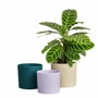 Elho Maceta Lex Pott Set 14 Blanco Verde Morado L