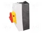 Eaton P1-32/I2/SVB Interruptor rotativo 3P 32A Rojo, Amarillo