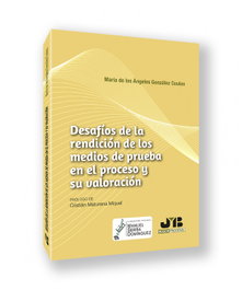 Desafíos de la rendición de los medios de prueba en el proceso y su valoración, María de los Ángeles González Coulon
