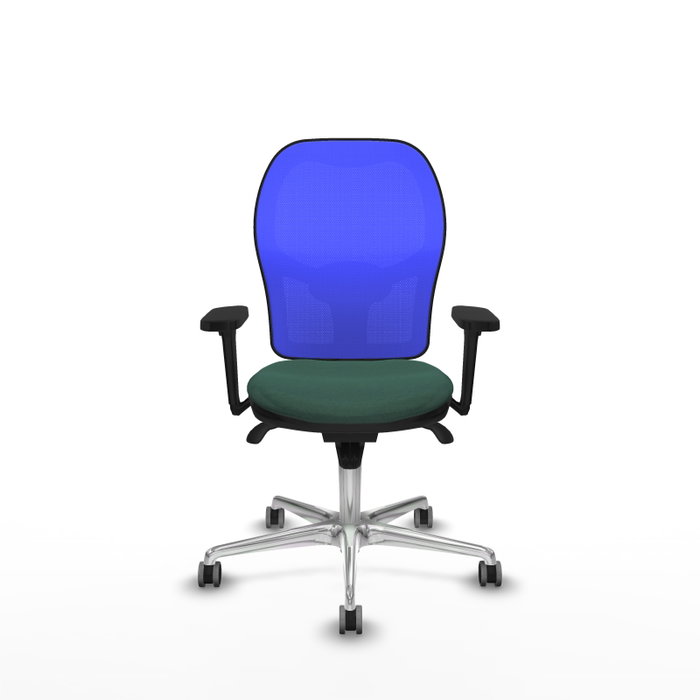 PIQUERAS Y CRESPO Silla de oficina Jorquera Verde botella y Azul PIQUERAS Y CRESPO Silla de oficina Jorquera Verde botella y Azul