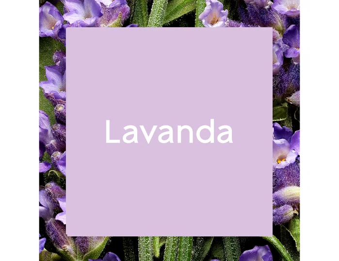 Brise Ambientador Spray Aroma Lavanda 300 ml Brise Ambientador Spray Aroma Lavanda 300 ml