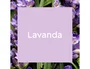 Brise Ambientador Spray Aroma Lavanda 300 ml