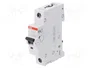 ABB Interruptor magnetotérmico SZ200 25A 1 polo Caract B